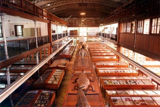 Wagner Free Institute of Science